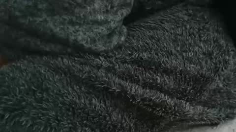 nineinchhard online show from 09.14.25