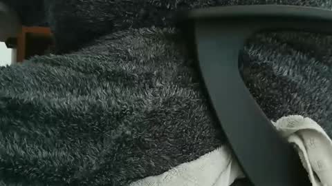 nineinchhard online show from 09.23.25