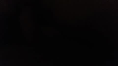 Snapshot of ninjadance chatting on 12.02.24 Ninjadance online show from 12.02.24