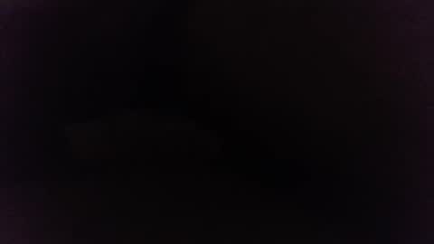 Snapshot of ninjadance chatting on 12.27.24 Ninjadance online show from 12.27.24