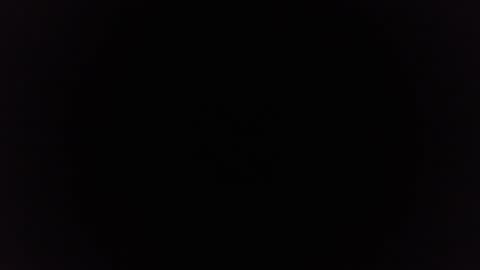 Snapshot of ninjadance chatting on 12.29.24 Ninjadance online show from 12.29.24