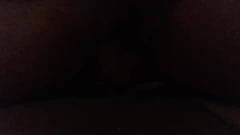 Snapshot of ninjadance chatting on 10.04.25 Ninjadance online show from 10.04.25