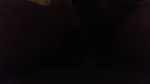 Snapshot of ninjadance chatting on 10.08.25 Ninjadance online show from 10.08.25