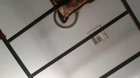 Snapshot of nipplechaser chatting on 01.18.25 nipplechaser online show from 01.18.25