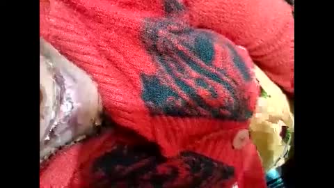 Snapshot of nisha800411 chatting on 01.03.25 Nisha online show from 01.03.25