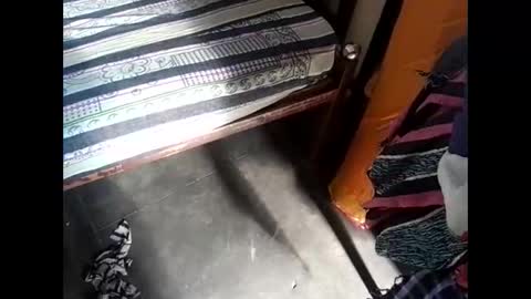 Snapshot of nisha800411 chatting on 03.08.25 Nisha online show from 03.08.25