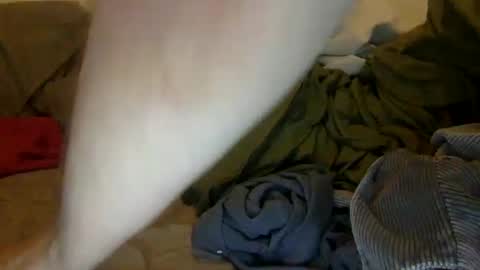 Snapshot of noah19999997 chatting on 09.28.25 Noah Warren online show from 09.28.25