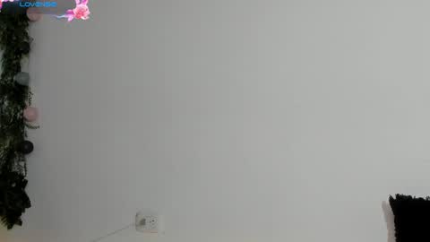 Noah  online show from 08.05.26