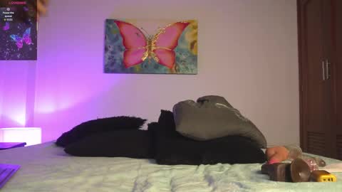 noah_0814 online show from 10.24.25