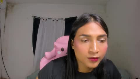 Noah online show from 10.08.25