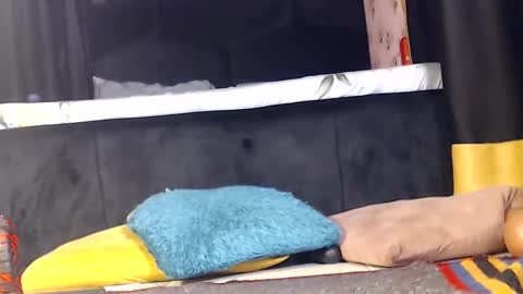 Noir Thats My Name Call Me Bablicious online show from 12.16.24