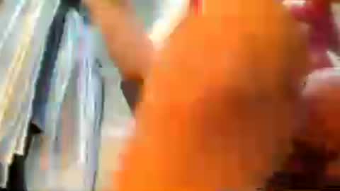 nolimitger online show from 06.25.26