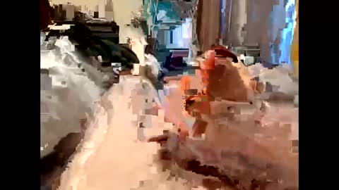 Snapshot of nolplus chatting on 03.05.25 nolplus online show from 03.05.25