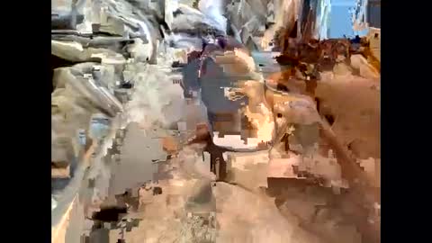 Snapshot of nolplus chatting on 03.07.25 nolplus online show from 03.07.25