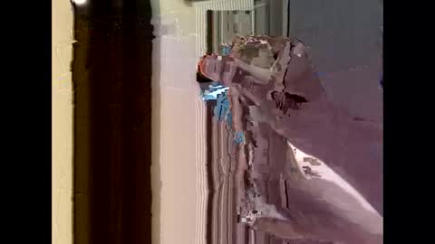 Snapshot of nolplus chatting on 09.22.25 nolplus online show from 09.22.25