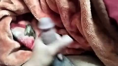 Snapshot of nooby942461 chatting on 12.28.24 sim nib online show from 12.28.24