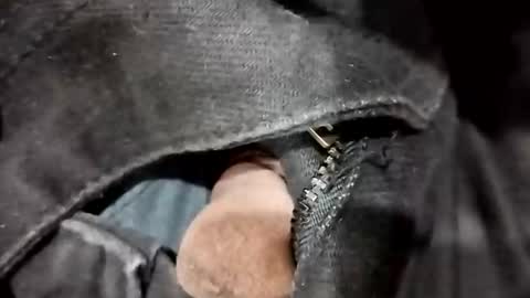 sim  nib online show from 11.20.25