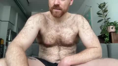 No Plan online show from 02.22.25