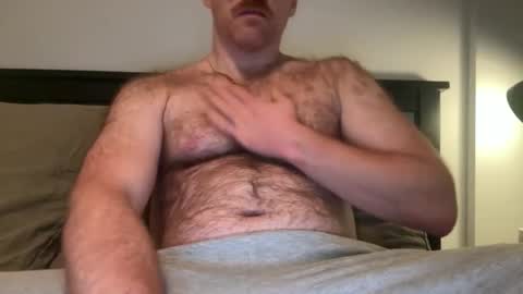 No Plan online show from 12.02.25