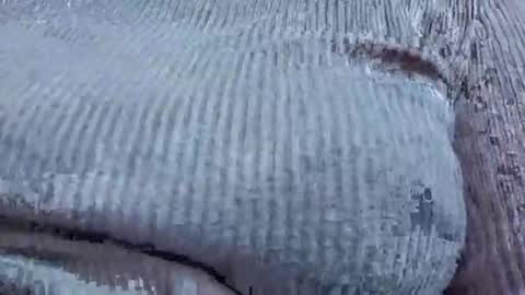 Snapshot of nora_roy246 chatting on 01.09.26 nora_roy246 online show from 01.09.26