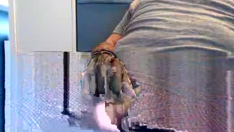 northerndaddy online show from 09.23.25