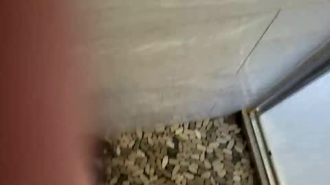 Snapshot of notme710 chatting on 12.22.25 notme710 online show from 12.22.25