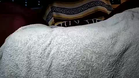 nottoobored online show from 07.14.26