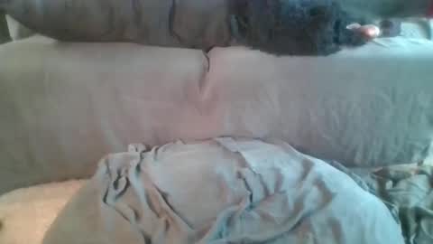 Snapshot of nova_kanee chatting on 04.19.26 Nova online show from 04.19.26