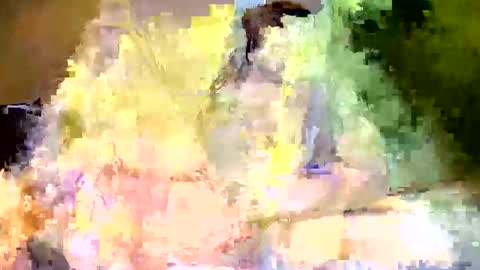 disonasty33 online show from 10.05.25