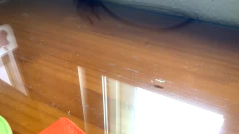 Snapshot of nudistadepilado chatting on 09.13.25 nudistadepilado online show from 09.13.25