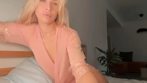 ocicatcat online show from 04.15.26