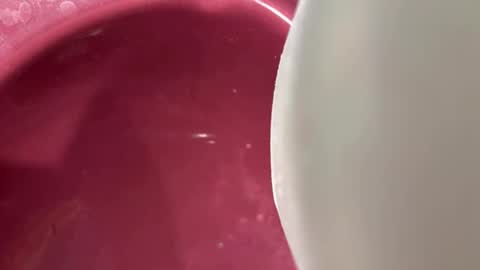 Snapshot of oconner701 chatting on 11.06.25 oconner701 online show from 11.06.25