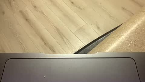 Snapshot of ofthatguy chatting on 10.24.25 ofthatguy online show from 10.24.25