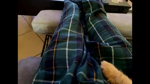 oggs48 online show from 10.28.25