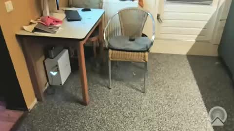 Snapshot of oldersagger chatting on 12.04.25 oldersagger online show from 12.04.25