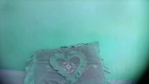 Snapshot of olgamariah203875 chatting on 02.14.26 olgamariah203875 online show from 02.14.26