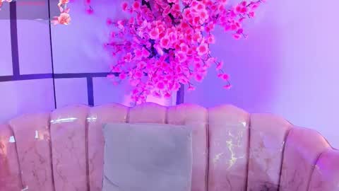 olive  online show from 01.17.26