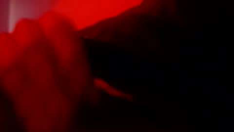 Snapshot of oliveoil67 chatting on 02.08.26 oliveoil67 online show from 02.08.26