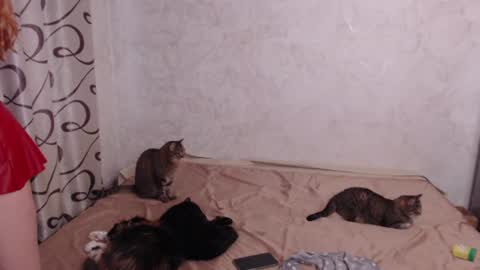 Olivia online show from 06.11.26