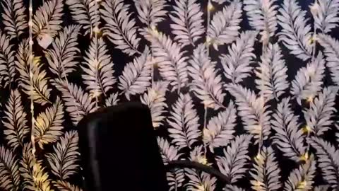 Kelly online show from 01.06.25