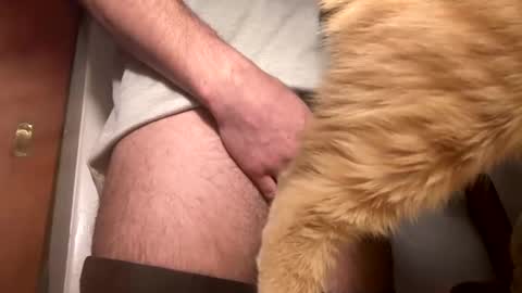 Snapshot of onedayonedollar chatting on 02.25.25 onedayonedollar online show from 02.25.25