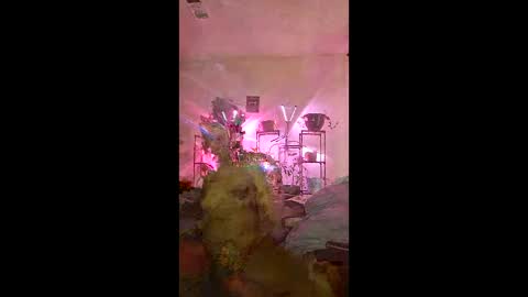 onfleektigress online show from 05.03.26