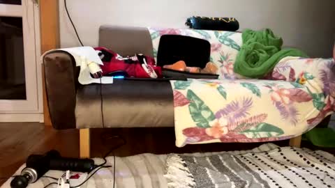 Do with me whatever you want online show from 03.02.25