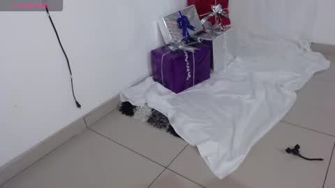 Snapshot of onlysaralee chatting on 12.23.25 Sara Lee online show from 12.23.25