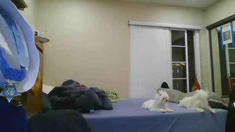 oorah1775 online show from 12.22.24