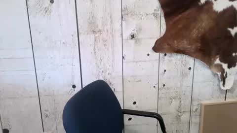 Snapshot of openmindedcowboy chatting on 11.01.25 kinkynerd online show from 11.01.25