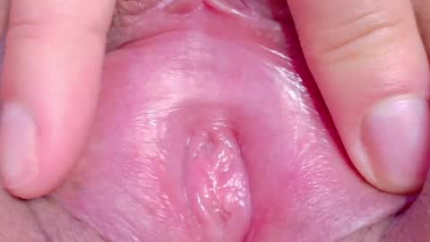 orchidekitty online show from 05.03.26