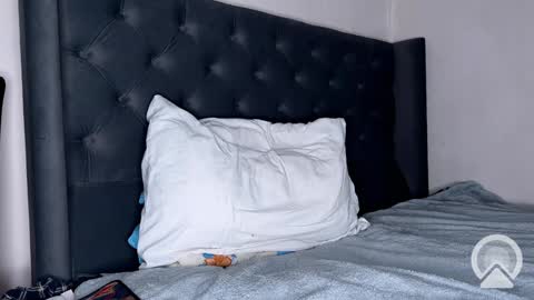 origamicat online show from 01.26.25