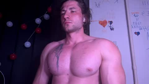 origamicat online show from 07.23.26