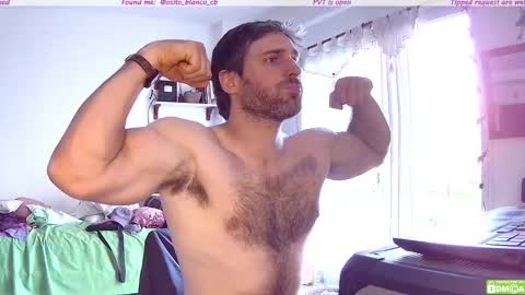 Osito Blanco online show from 11.13.25